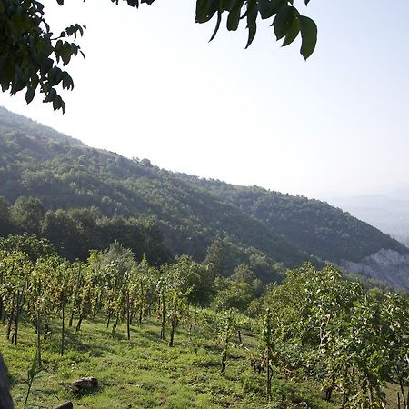 Fattoria Alvaneta Padula Zewnętrze zdjęcie