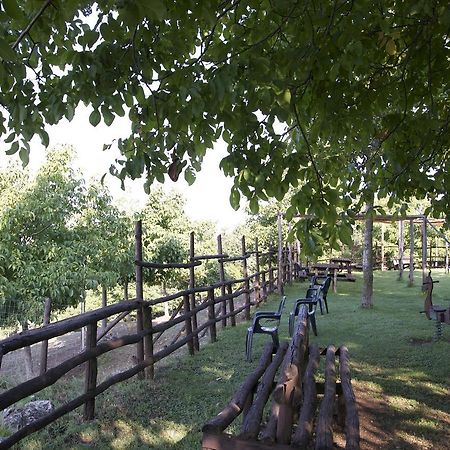 Fattoria Alvaneta Padula Zewnętrze zdjęcie