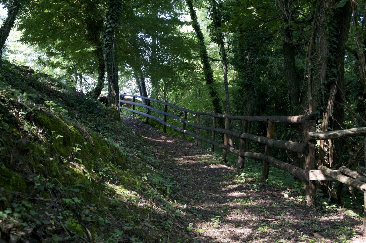 Fattoria Alvaneta Padula Zewnętrze zdjęcie