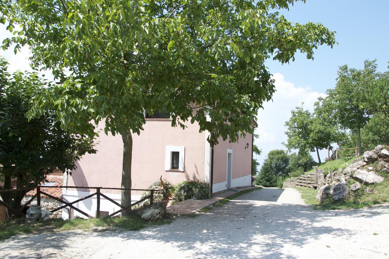 Fattoria Alvaneta Padula Zewnętrze zdjęcie