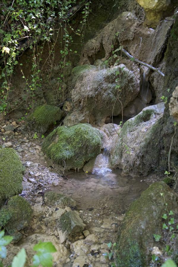 Fattoria Alvaneta Padula Zewnętrze zdjęcie